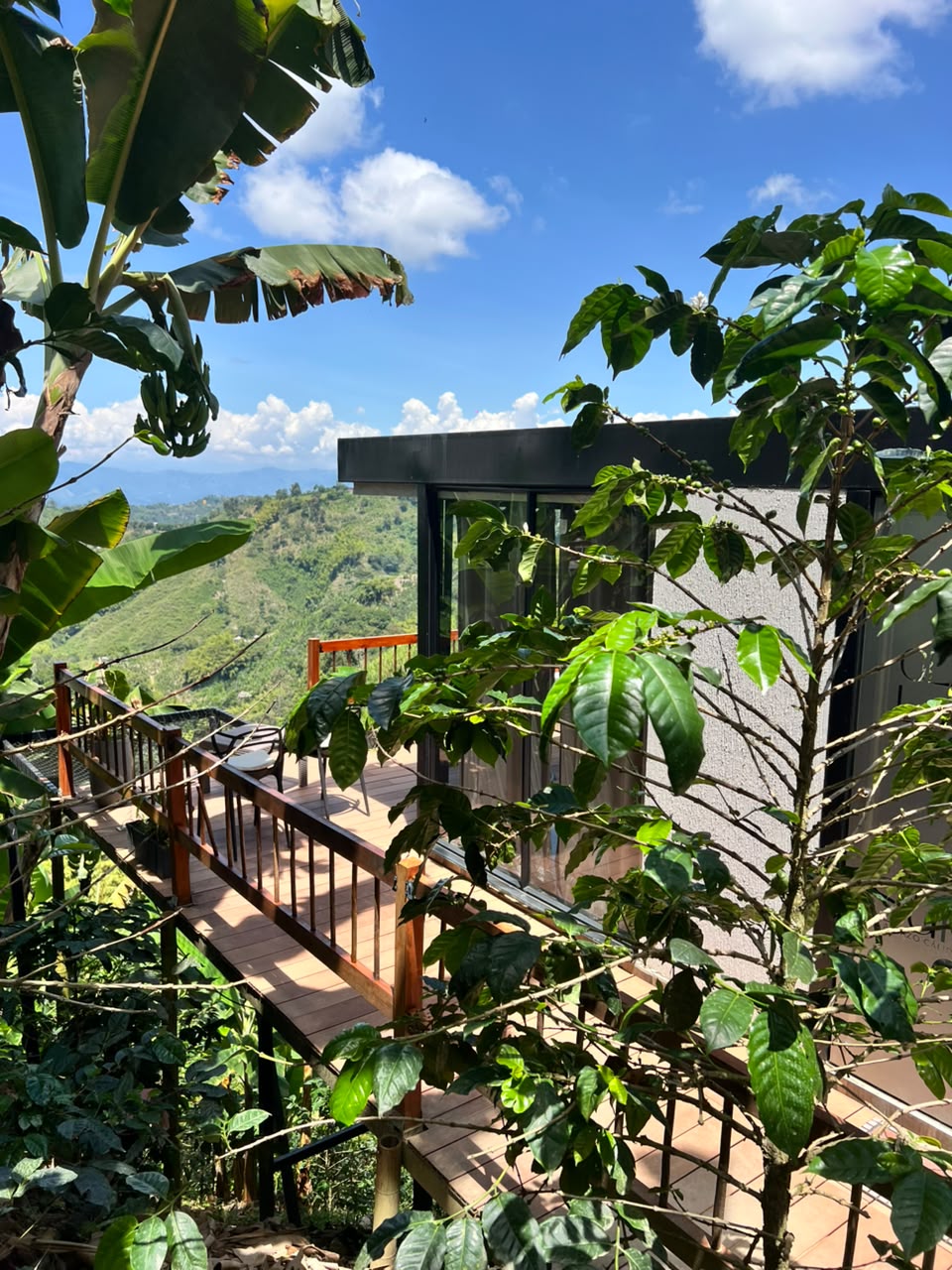 Glamping La Nonita — terraza